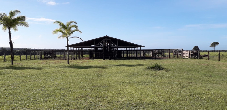 Imagem Fazenda à Venda, 455 HA em zona Rural - Santarém Novo