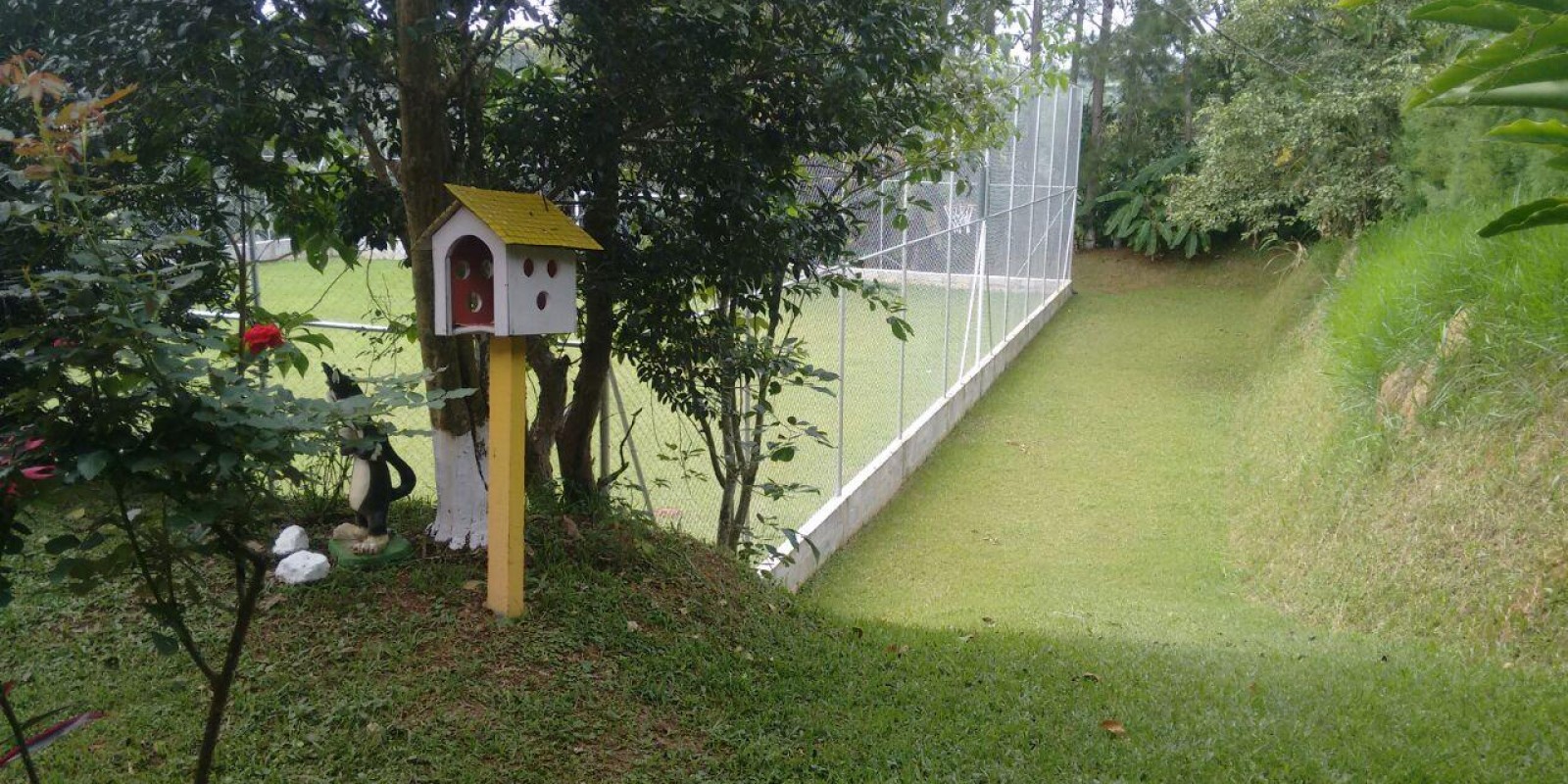 Imagem Chácara com 3 Quartos à Venda,  em Centro Sede - Santa Isabel