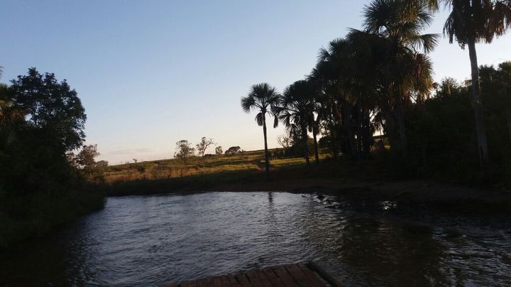 Imagem Fazenda à Venda, 1.864 m² em área Rural De Três Lagoas - Três Lagoas