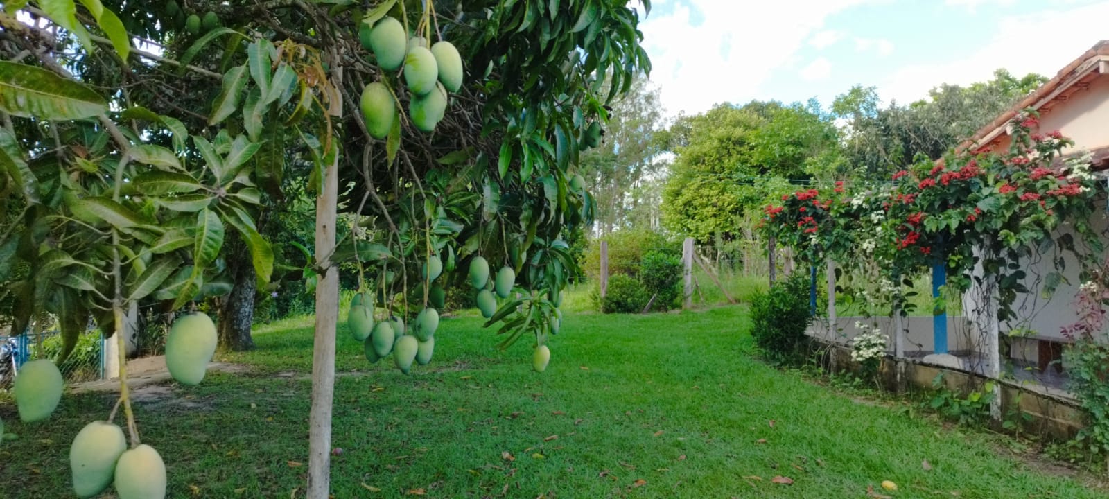 Foto do imóvel: Chácara com 4 Quartos à Venda, 440 m² em  - Sarapuí