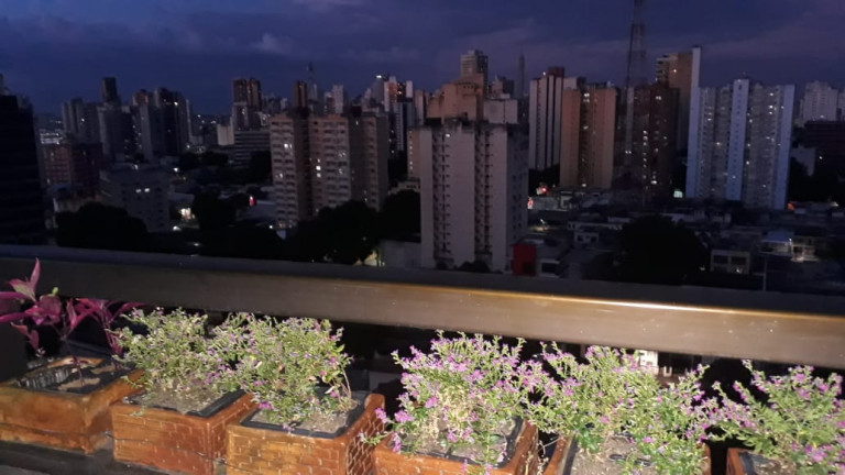 Imagem Apartamento com 3 Quartos à Venda, 250 m² em Batista Campos - Belém