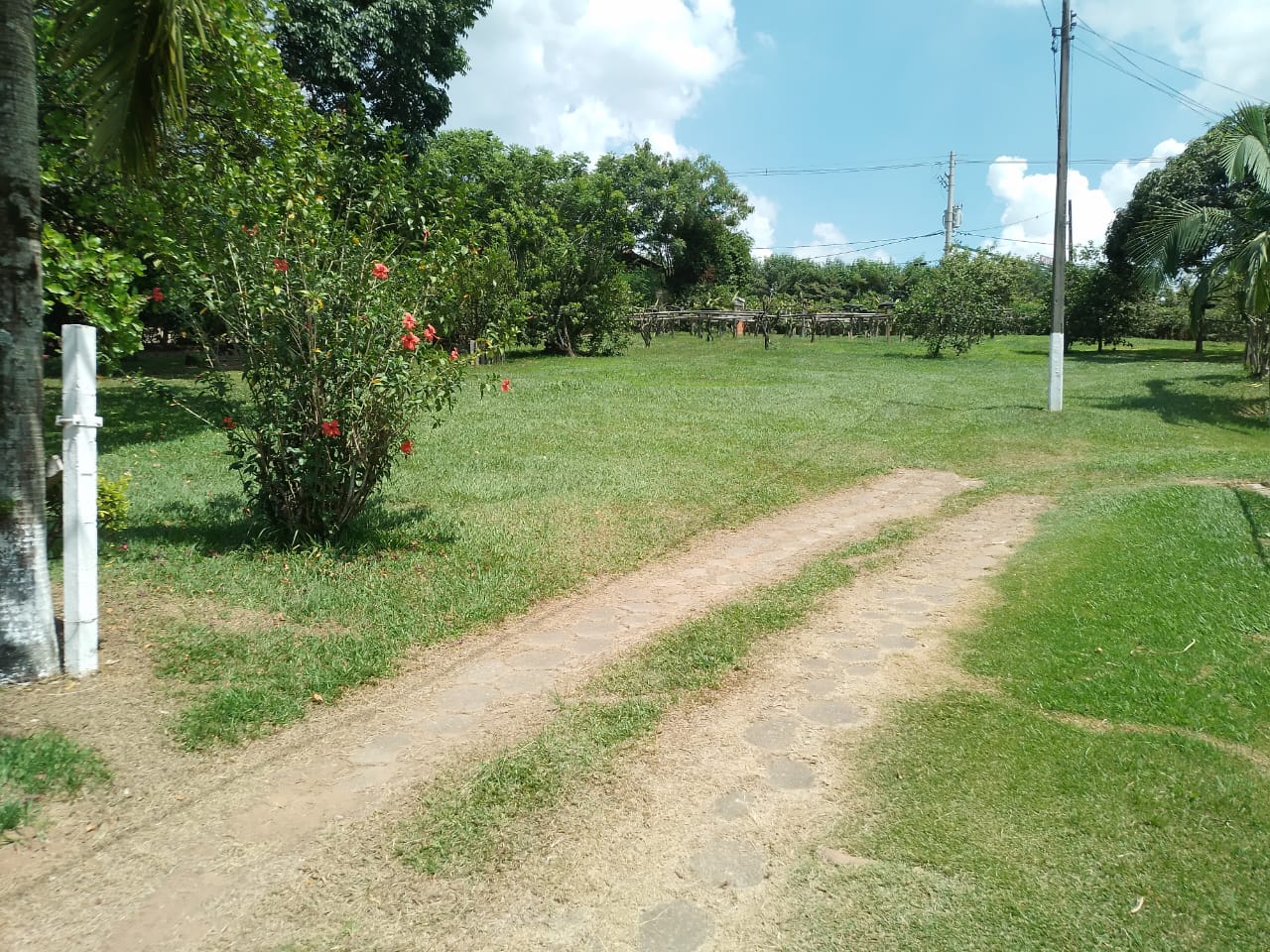 Imagem do anúncio