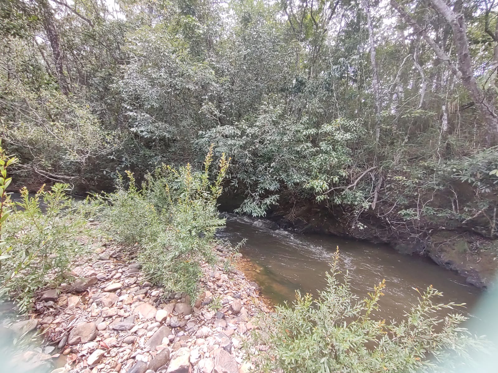 Imagem Fazenda à Venda, 6 HAem Moinho - Alto Paraíso de Goiás