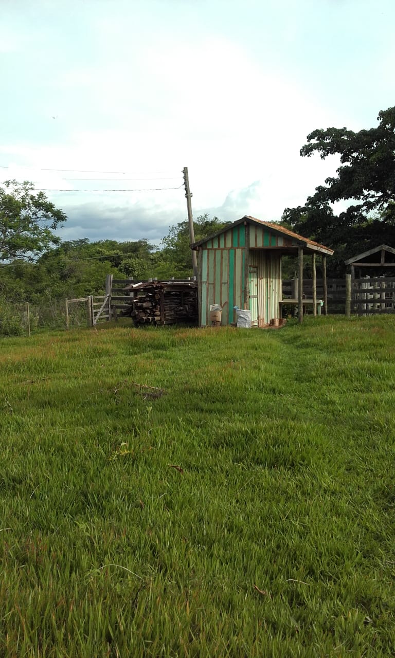 Foto do imóvel: Fazenda à Venda, 74 Alq. SP em Área Rural de Álvaro de Carvalho - Álvaro de Carvalho