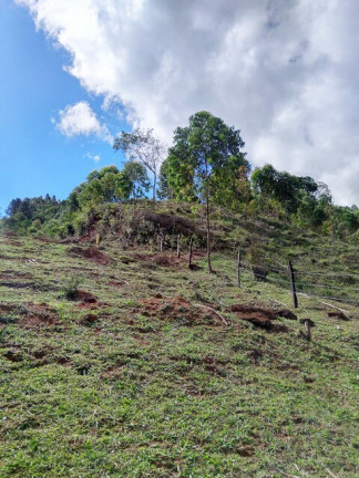 Imagem Terreno à Venda, 1.000 m² em Jardim Zaira - Mauá