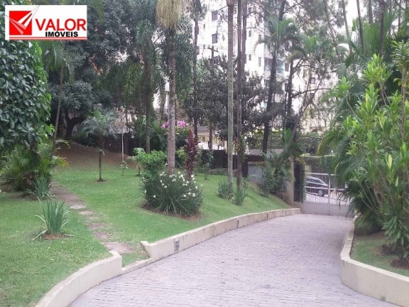 Imagem Apartamento com 3 Quartos à Venda ou Locação, 68 m² em Jardim Peri Peri - São Paulo