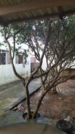Imagem Sobrado com 4 Quartos à Venda,  em Jardim Ipiranga - Aparecida de Goiânia