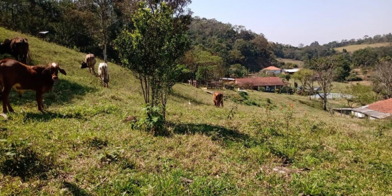 Imagem Chácara com 13 Quartos à Venda, 90.000 m² em Centro - Santa Isabel