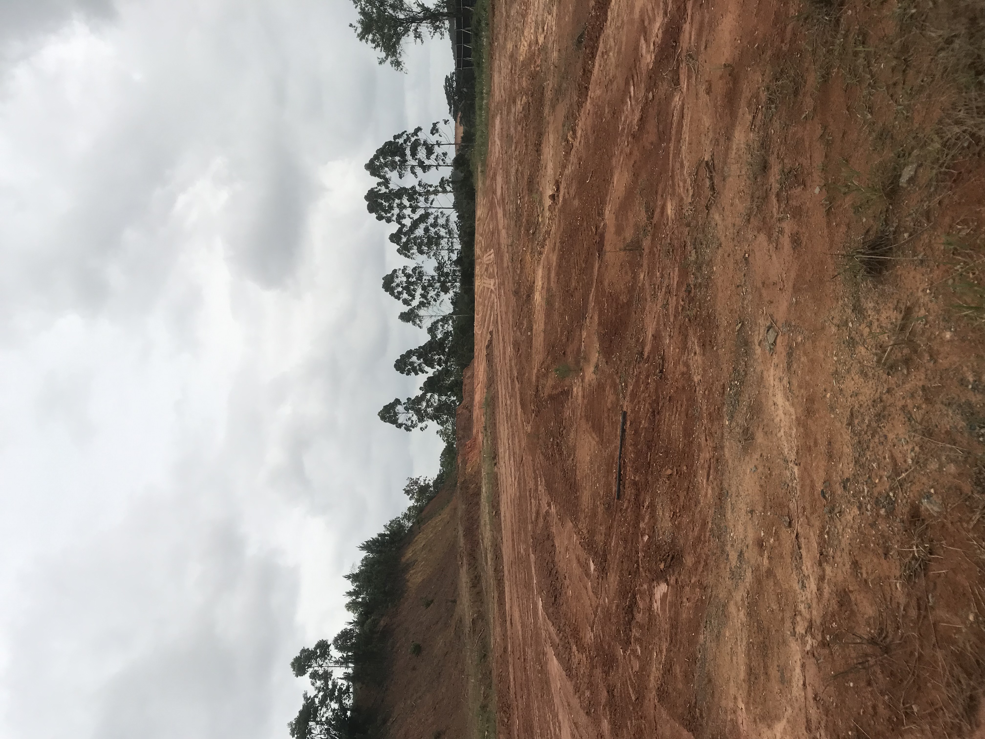 Foto do imóvel: Terreno à Venda, 34.000 m² em Ponto Alto Corveta - Araquari