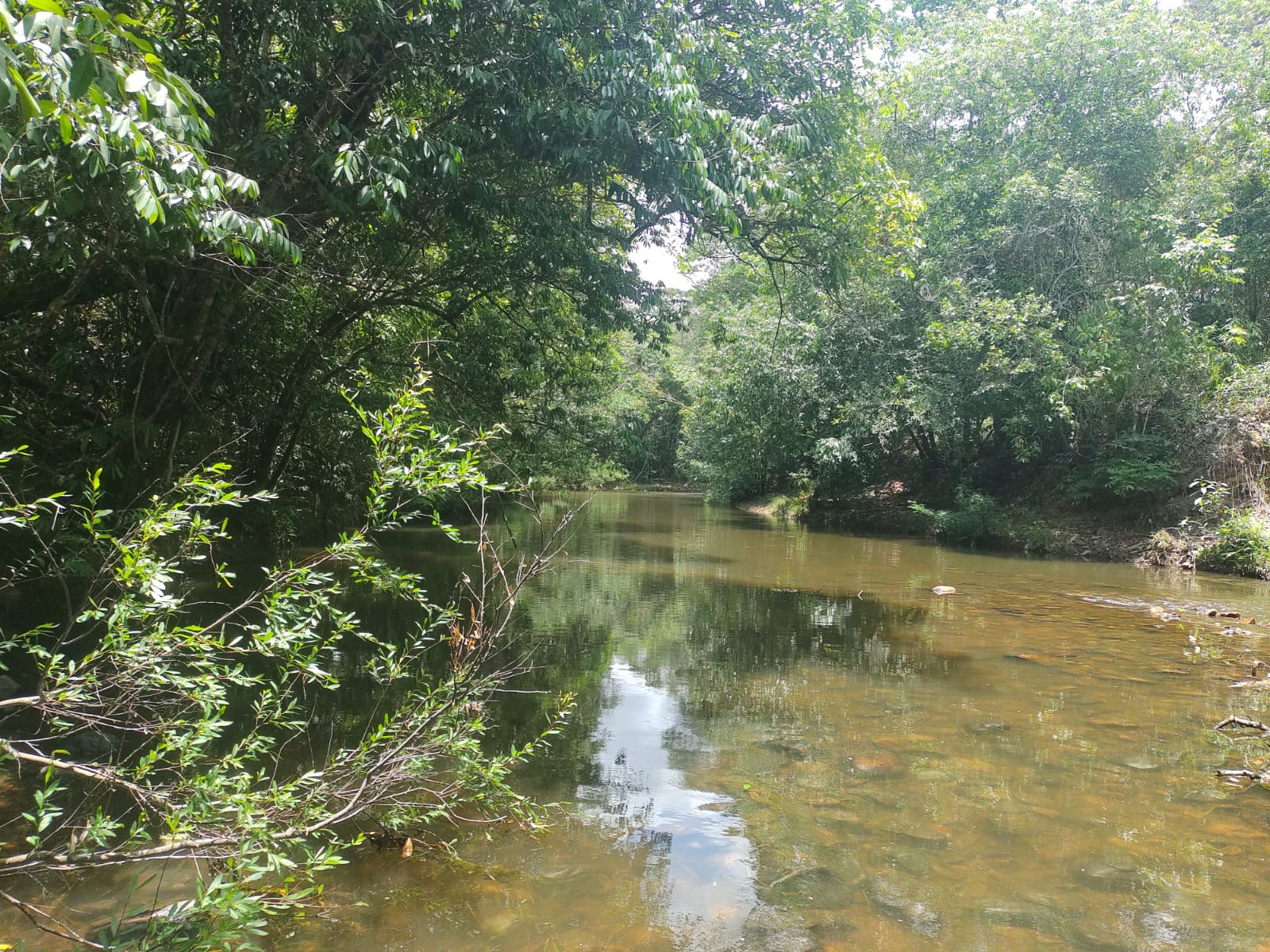 Imagem Fazenda à Venda, 6 HAem Moinho - Alto Paraíso de Goiás