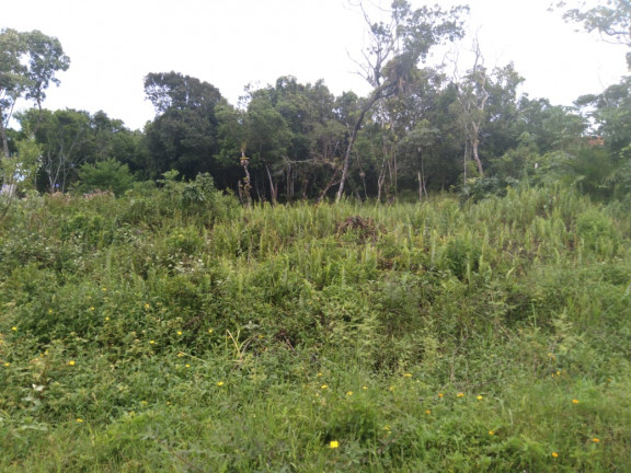 Imagem Terreno à Venda, 280 m² em Jd. Marambá - Itanhaém