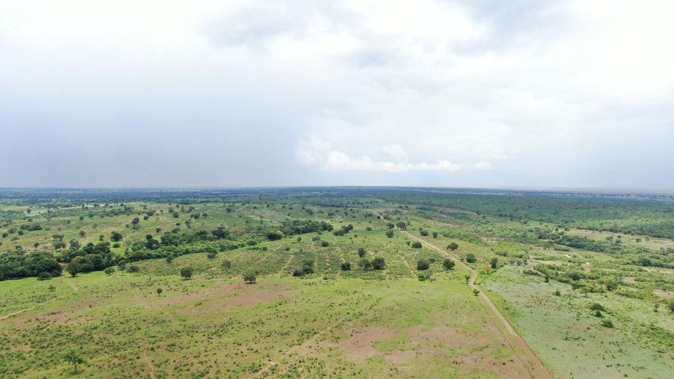 Imagem Fazenda à Venda, 435 Alq GOem Zona Rural - Novo Planalto