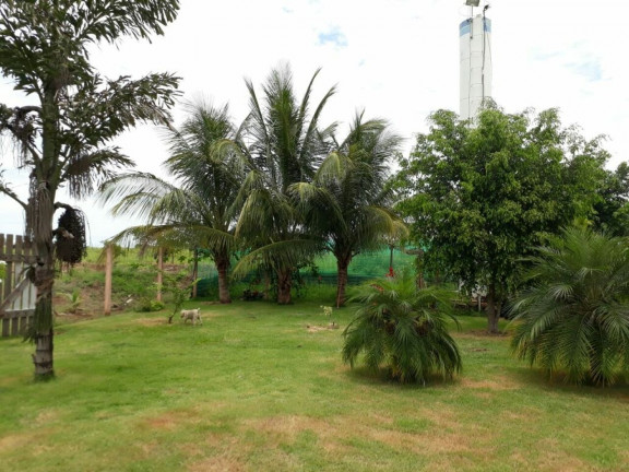 Imagem Chácara com 3 Quartos à Venda, 30.000 m² em São João - Votuporanga