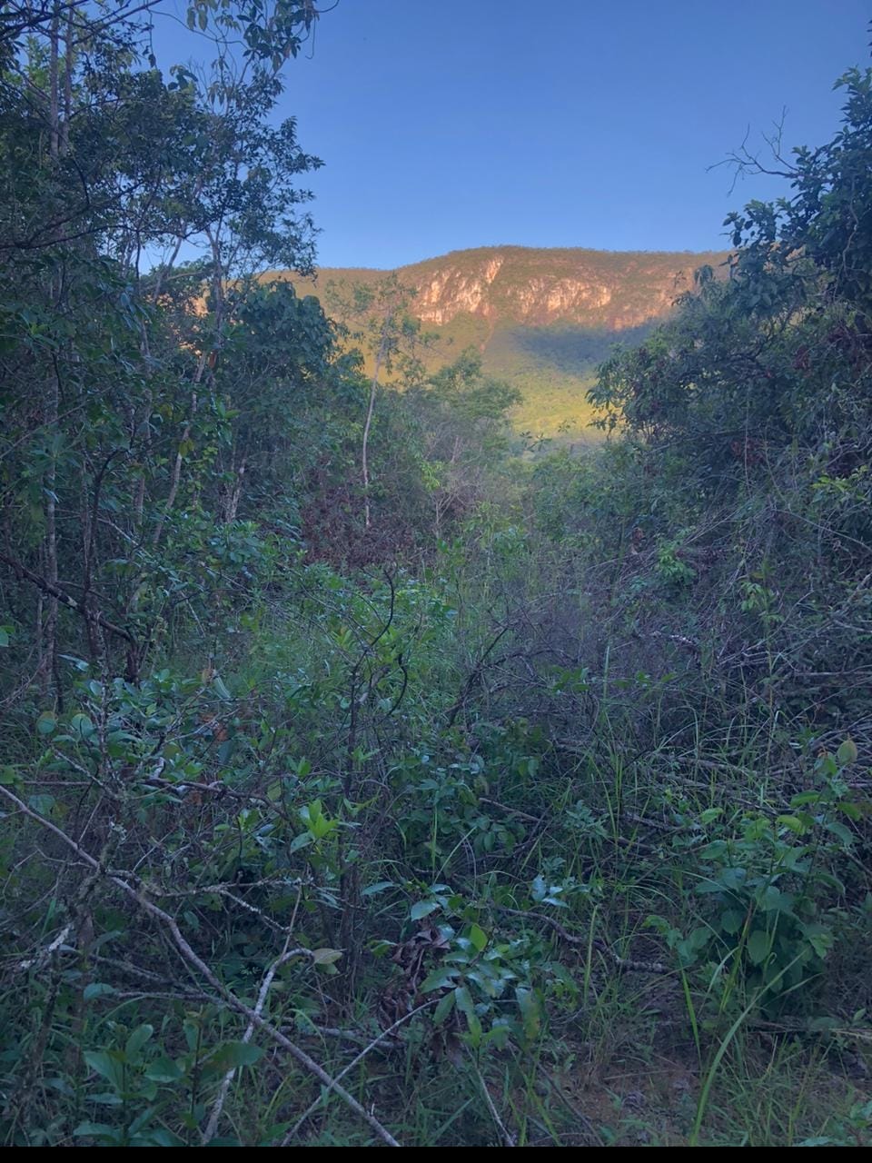 Imagem Chácara à Venda, 60 m²em Centro - Alto Paraíso de Goiás