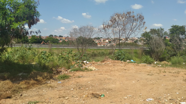 Imagem Terreno à Venda,  em Vila Aeroporto I - Campinas