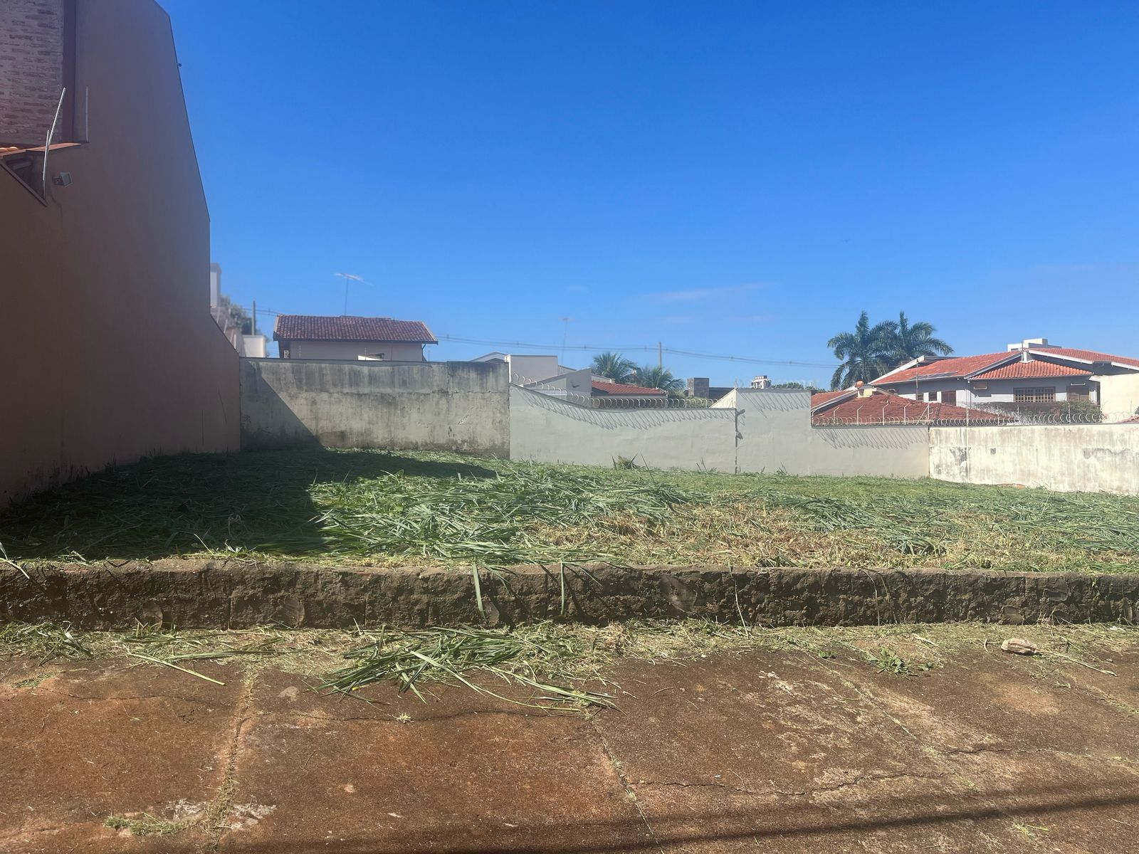Foto do imóvel: Terreno à Venda, 350 metro em Vila Ana Maria - Ribeirão Preto