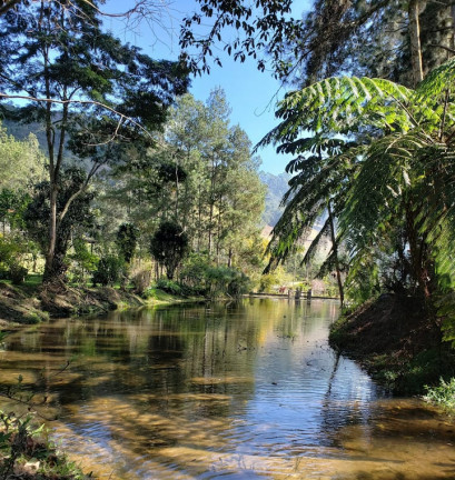 Imagem Chácara com 5 Quartos à Venda, 20.000 m² em Prado - Nova Friburgo