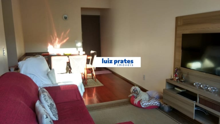 Imagem Apartamento com 3 Quartos à Venda, 77 m² em Cristal - Porto Alegre