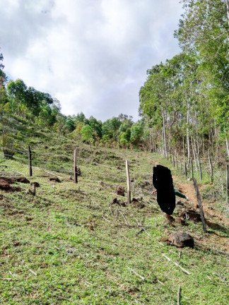 Imagem Terreno à Venda, 1.000 m² em Jardim Zaira - Mauá