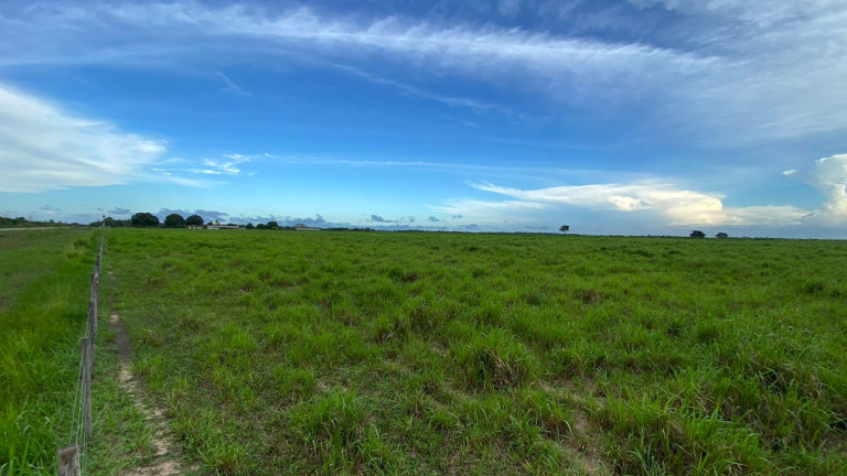 Imagem Fazenda à Venda, 455 HA em zona Rural - Santarém Novo