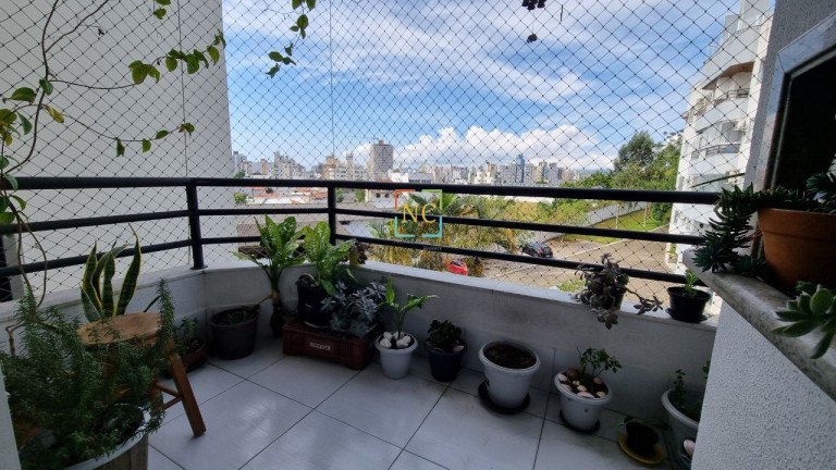 Imagem Apartamento com 2 Quartos à Venda, 72 m² em Nossa Senhora Do Rosário - São José