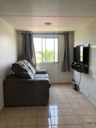 Imagem Apartamento com 3 Quartos à Venda, 70 m² em Residencial Terra Da Uva - Jundiaí