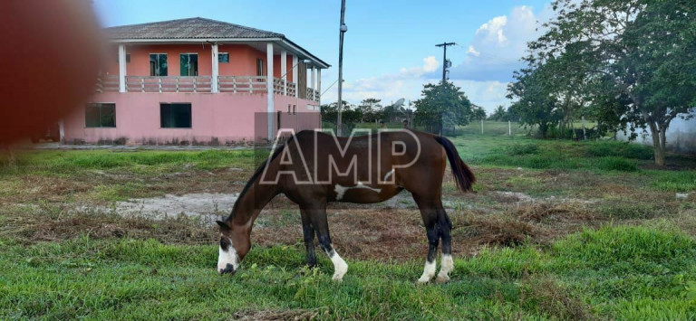 Imagem Imóvel com 4 Quartos à Venda, 180.000 m² em Não Informado - Não Informado