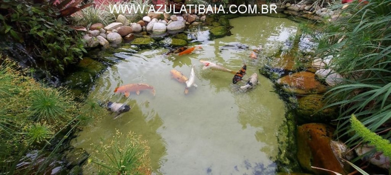Imagem Imóvel com 7 Quartos à Venda, 3.000 m² em Jardim Estância Brasil - Atibaia