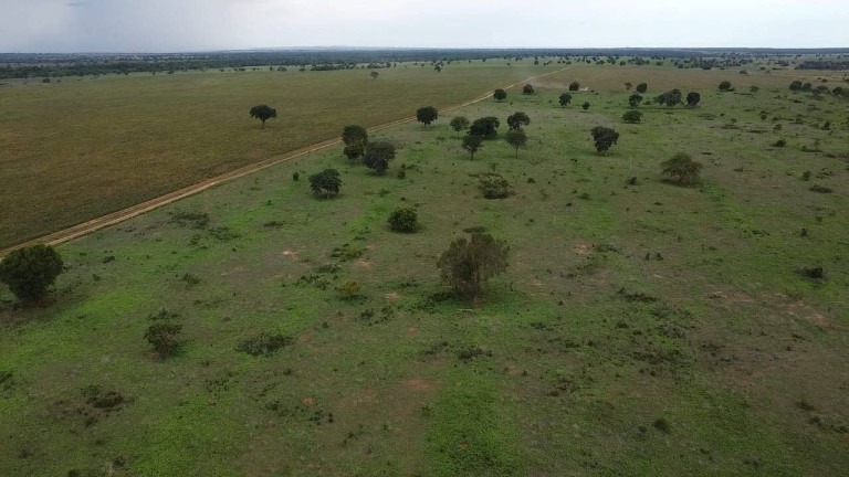 Imagem Fazenda à Venda, 75 m² em Zona Rural - Montes Claros De Goiás