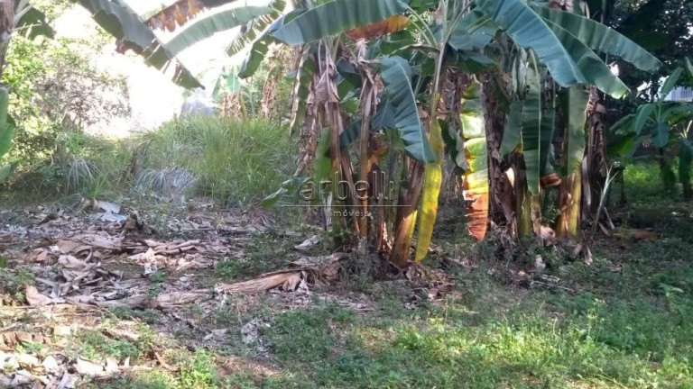 Imagem Terreno à Venda, 1.630 m² em Jardim Mariliza - São Paulo