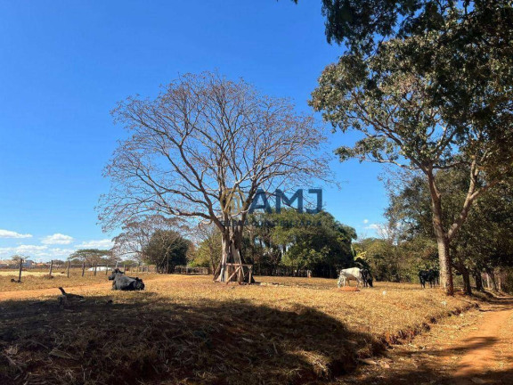 Imagem Fazenda à Venda, 150 m² em Residencial Vitória - Itaberaí