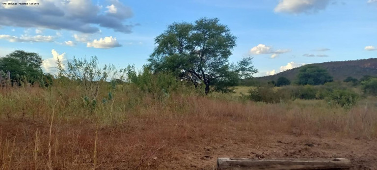 Imagem Fazenda à Venda, 950 m² em Zona Rural - Verdelândia