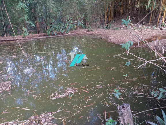 Imagem Fazenda à Venda, 30.000 m² em Charneca - Betim