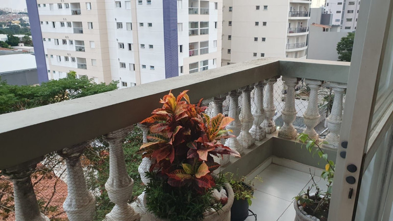Imagem Apartamento com 2 Quartos à Venda, 76 m² em Baeta Neves - São Bernardo Do Campo