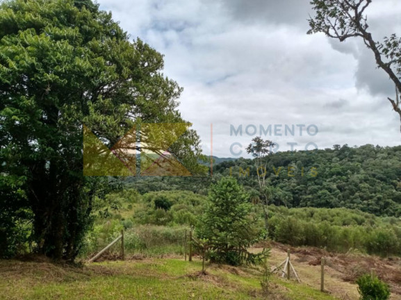 Imagem Fazenda à Venda, 64.288 m² em Barra Avencal - Rio Dos Cedros