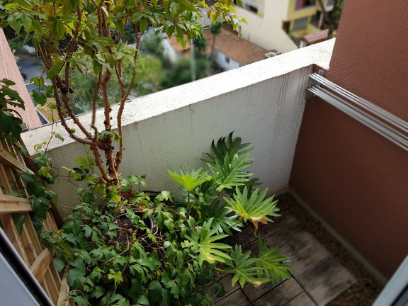 Apartamento com 2 Quartos à Venda, 63 m² em Sumaré - São Paulo