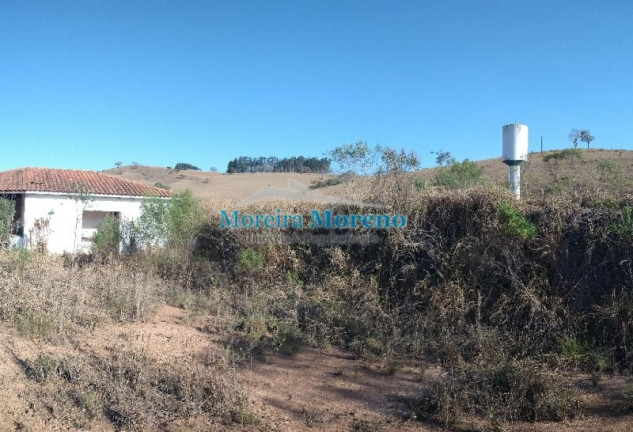 Imagem Imóvel com 2 Quartos à Venda, 7.000 m² em Zona Rural - Borda Da Mata