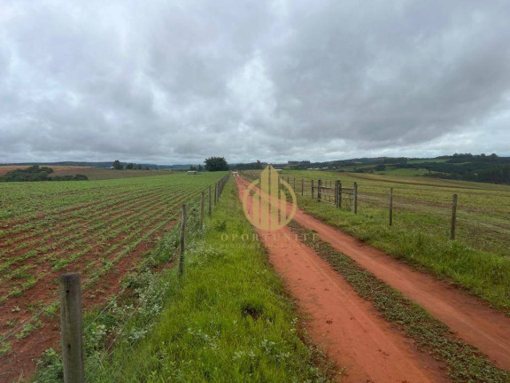 Imagem Fazenda à Venda, 1.800.000 m² em Zona Rural - São Sebastião Do Paraíso
