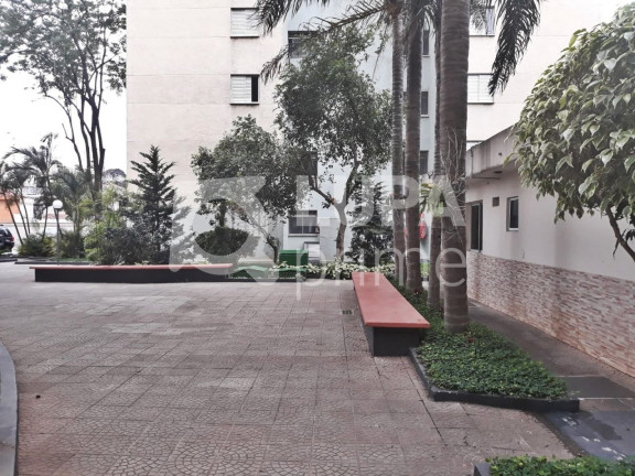 Apartamento com 3 Quartos à Venda, 61 m² em Vila Guilherme - São Paulo