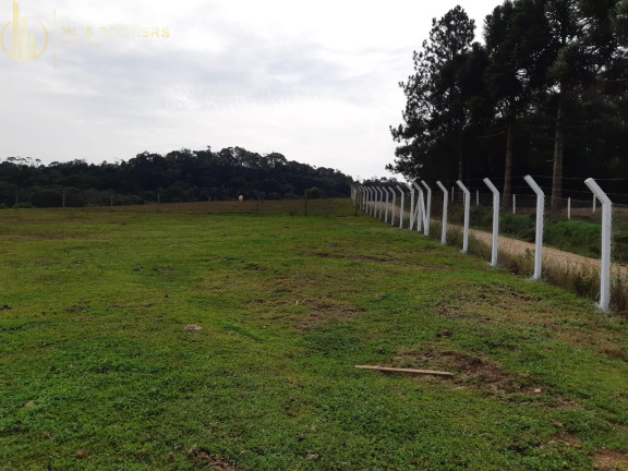 Imagem Imóvel à Venda, 10.000 m² em Centro - Campo Magro