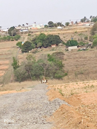 Imagem Terreno à Venda, 5.000 m² em área Rural De Limeira - Limeira