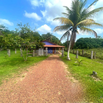 Imagem Imóvel com 3 Quartos à Venda, 9.600.000 m² em Centro  - Tomé-açú