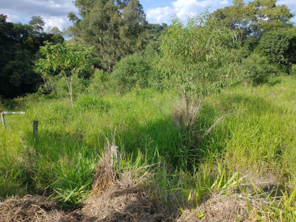 Imagem Chácara à Venda, 1.000 m² em Rio Verde - Caldas