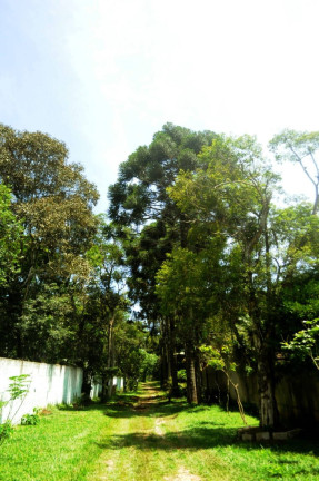 Imagem Chácara com 3 Quartos à Venda, 5.787 m² em Dos Finco - São Bernardo Do Campo
