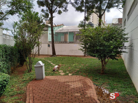 Imagem Apartamento com 3 Quartos à Venda, 110 m² em Vila Gumercindo - São Paulo