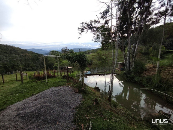 Imagem Fazenda à Venda, 13.000 m² em Pagará - São Pedro De Alcântara