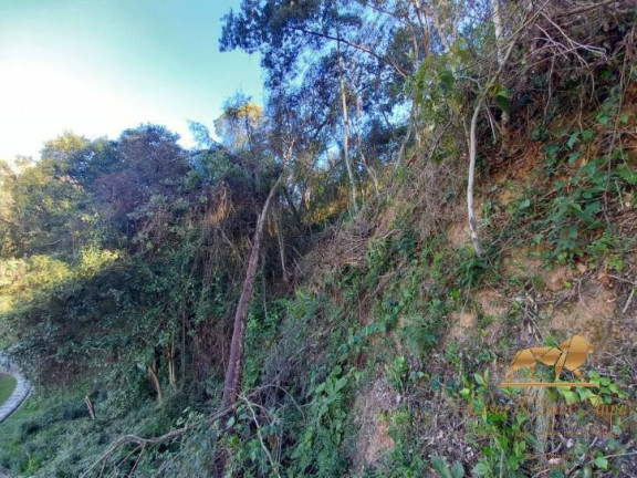 Imagem Terreno à Venda, 729 m² em V Britânia - Campos Do Jordão