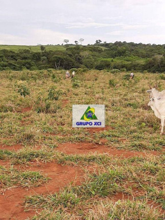 Imagem Fazenda à Venda, 10.340.000 m² em Zona Rural - Campinápolis