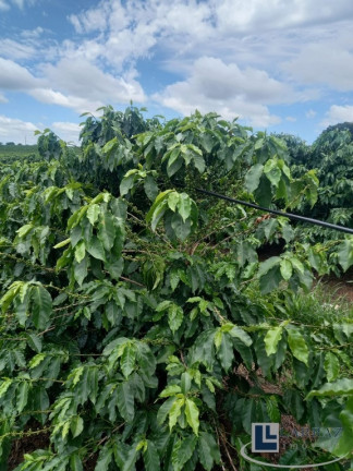 Imagem Imóvel à Venda, 8 m² em Area Rural De São Sebastião Do Paraiso - Sao Sebastiao Do Paraiso