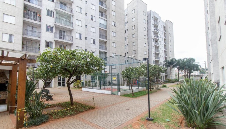 Apartamento com 3 Quartos à Venda, 56 m² em Vila Califórnia - São Paulo